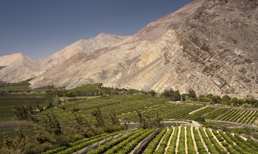 Elqui Valley